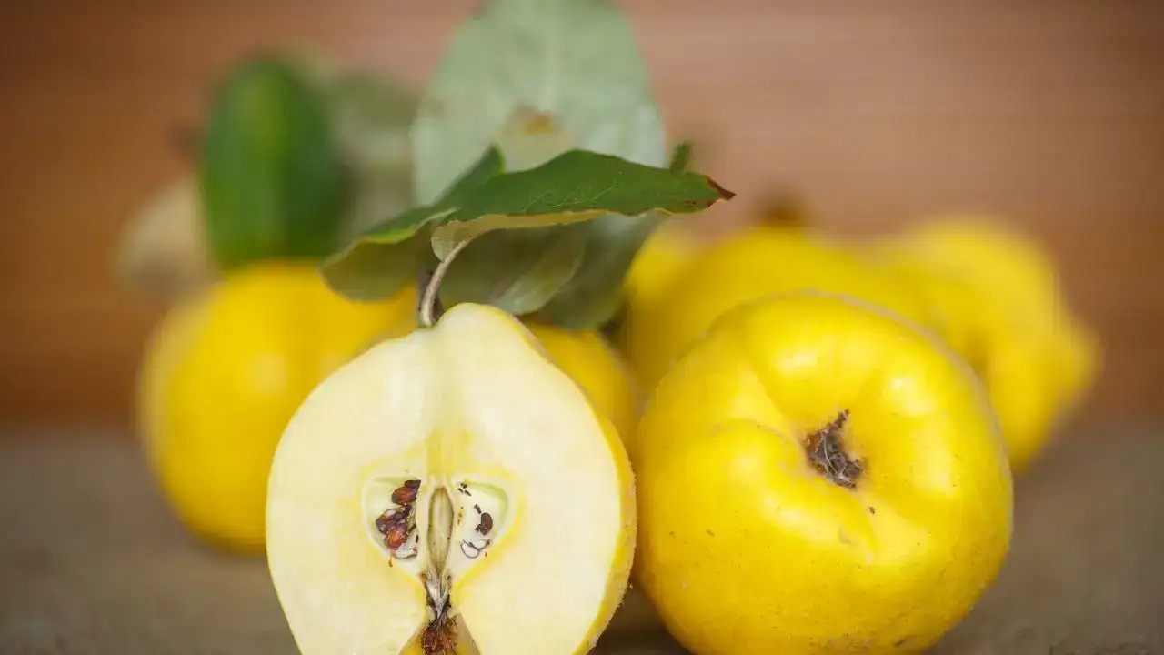 Ocak Ayında Hangi Meyveler Yenir? 9